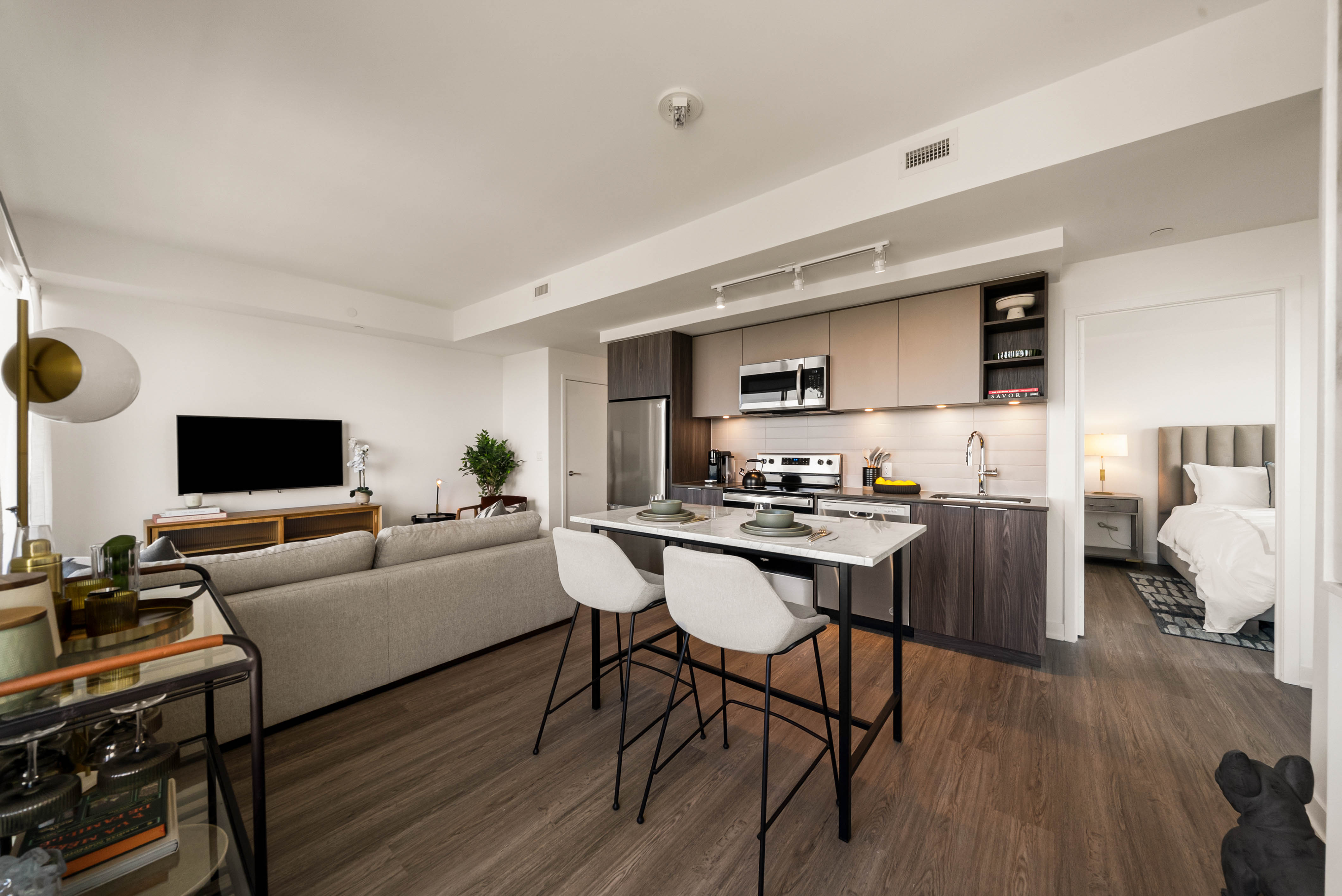 Apartment kitchen and living room
